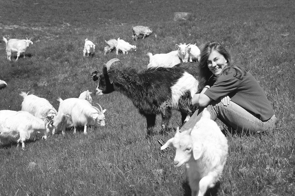 Lange Reise zum Stil: Von der Ziege zum Pullover