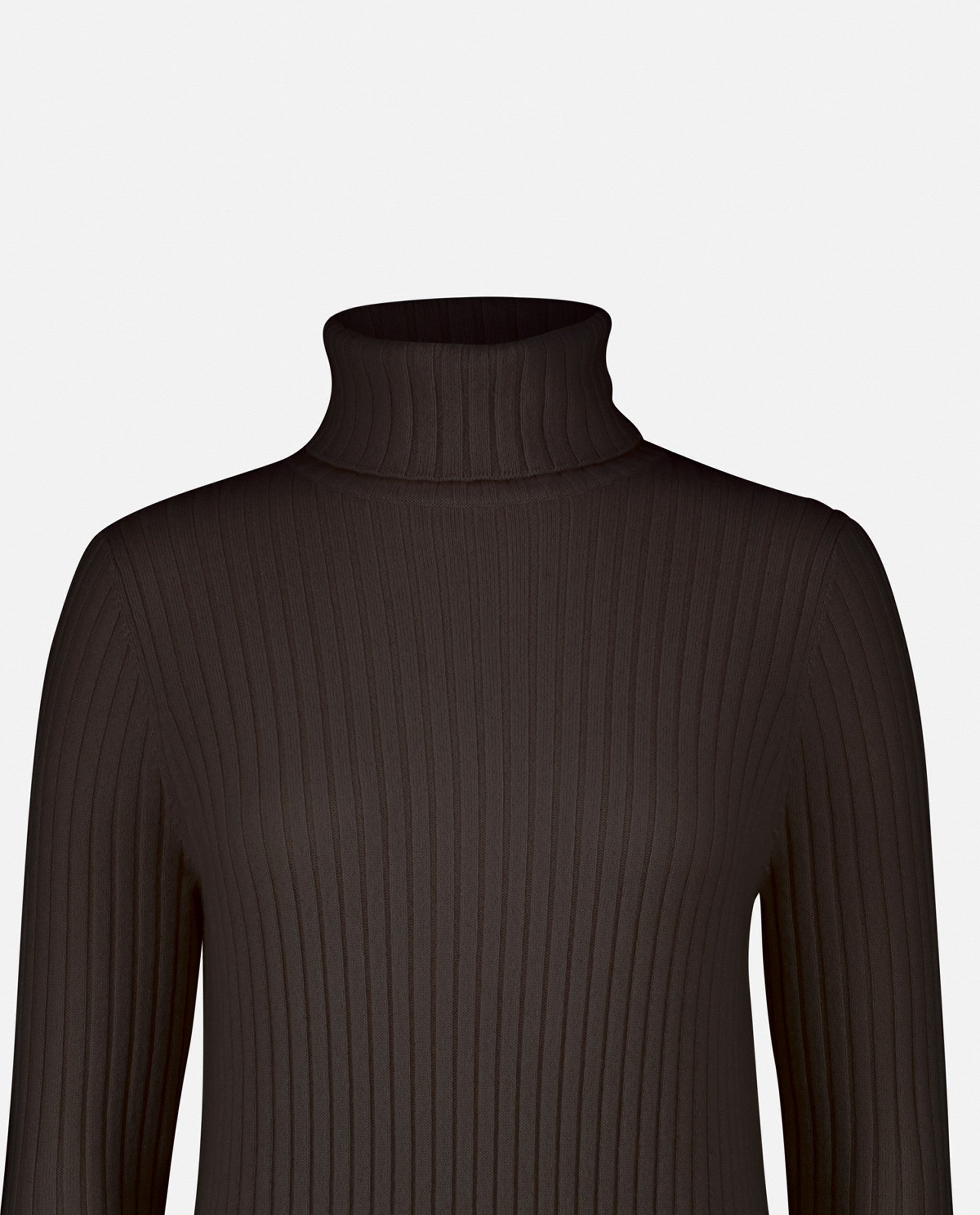 235-11123-49-S_5 - Allude - 100% Cashmere Braun Cashmere Damen Feinstrick Gerade Passform Kleid Kleider Langarm Rollkragen SAPG::235-11123 Winter 2023/2024