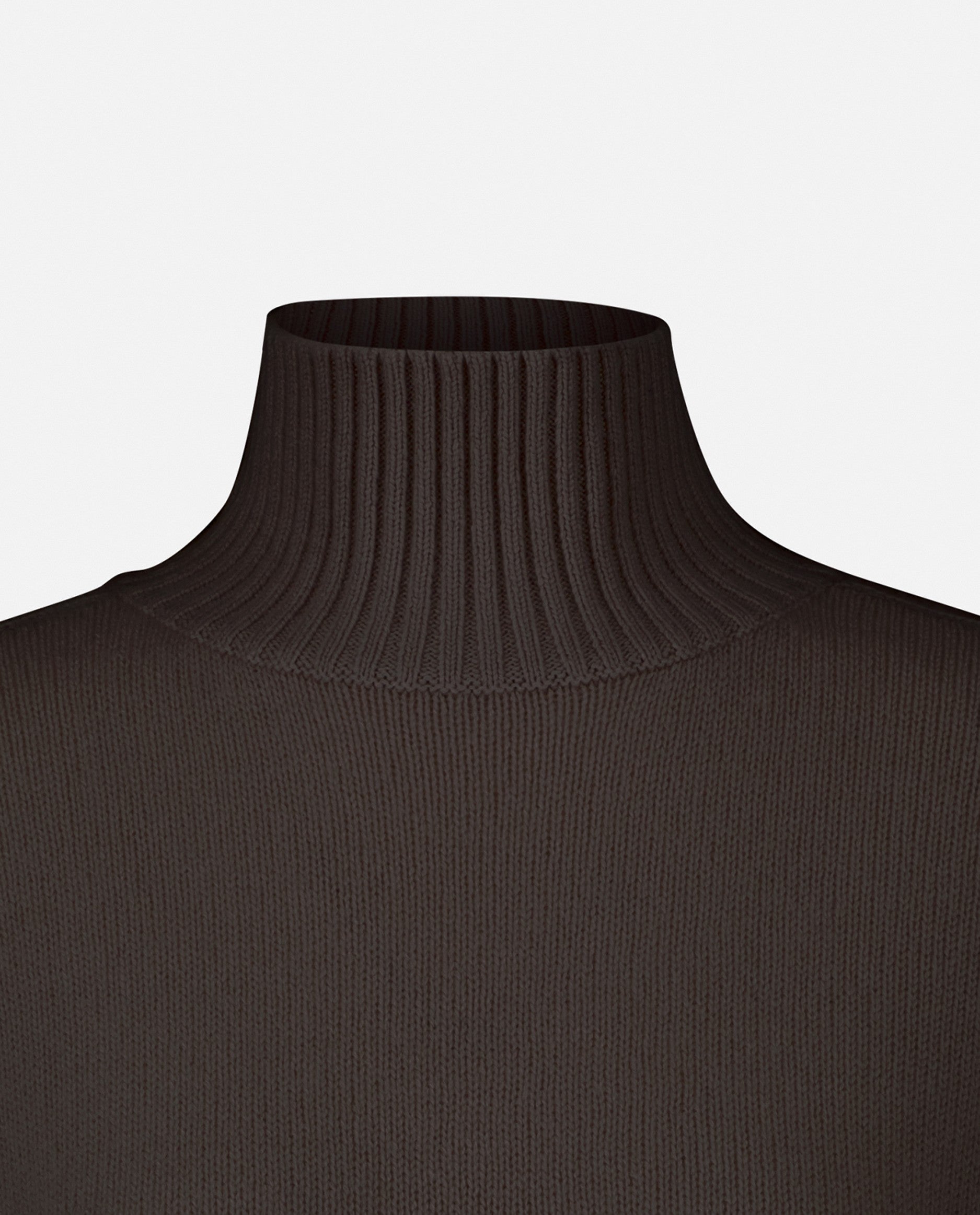 235-11156-49-S_5 - Allude - 100% Cashmere Basic Braun Cashmere Damen Langarm Lockerer Schnitt Mittelschwerer Strick Pullover SAPG::235-11156 Stehkragen Winter 2023/2024