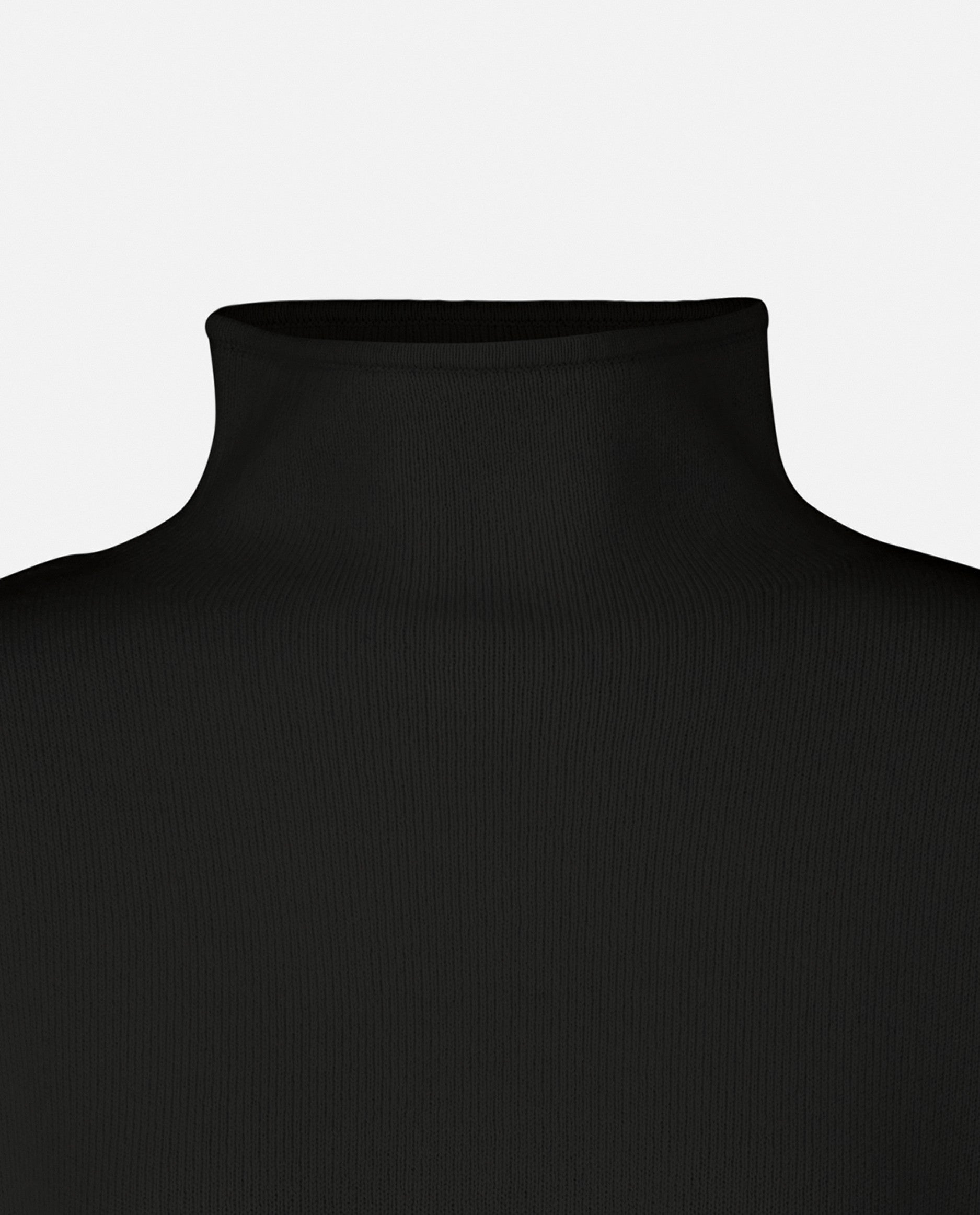 235-17603-90-S_5 - Allude - 30% Cashmere 70% Wolle ad_campaign Damen Feinstrick Langarm Lockerer Schnitt Pullover SAPG::235-17603 Schwarz Stehkragen Winter 2023/2024 Wolle