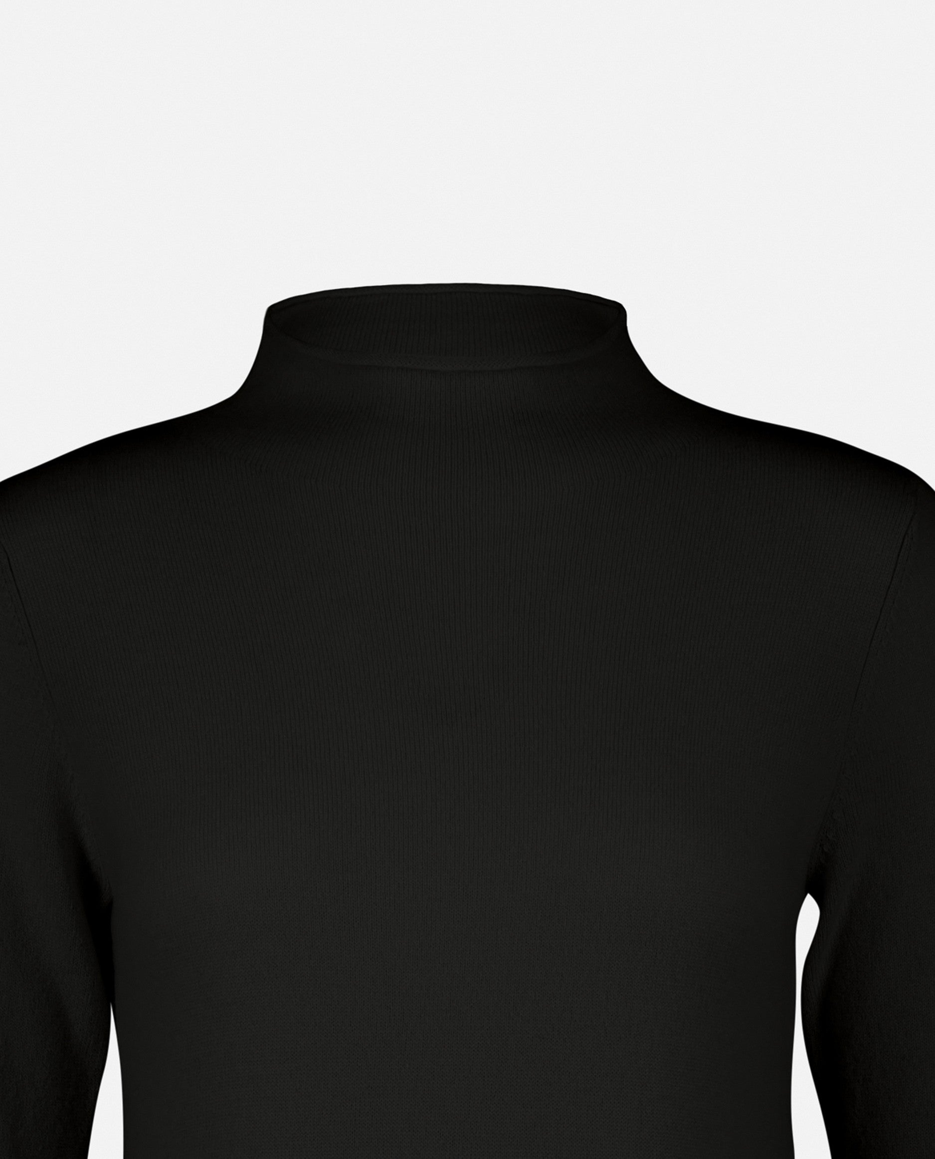 235-17652-90-S_5 - Allude - 30% Cashmere 70% Wolle A-Form Damen Feinstrick Kleid Kleider Langarm SAPG::235-17652 Schwarz Stehkragen Winter 2023/2024 Wolle