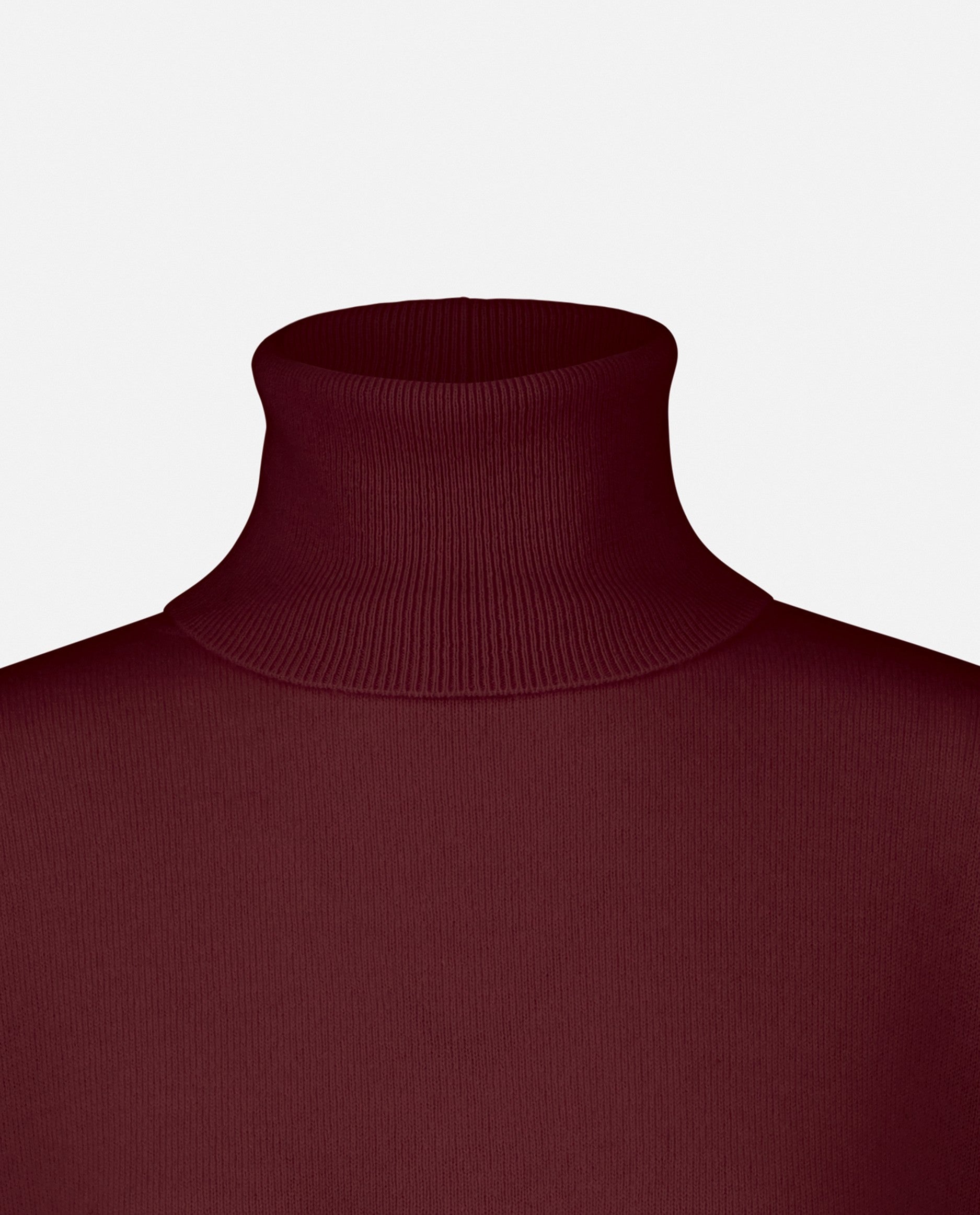 235-17695-69-S_5 - Allude - 30% Cashmere 70% Wolle Damen Feinstrick Langarm Lockerer Schnitt Pullover Rollkragen Rot SAPG::235-17695 Winter 2023/2024 Wolle