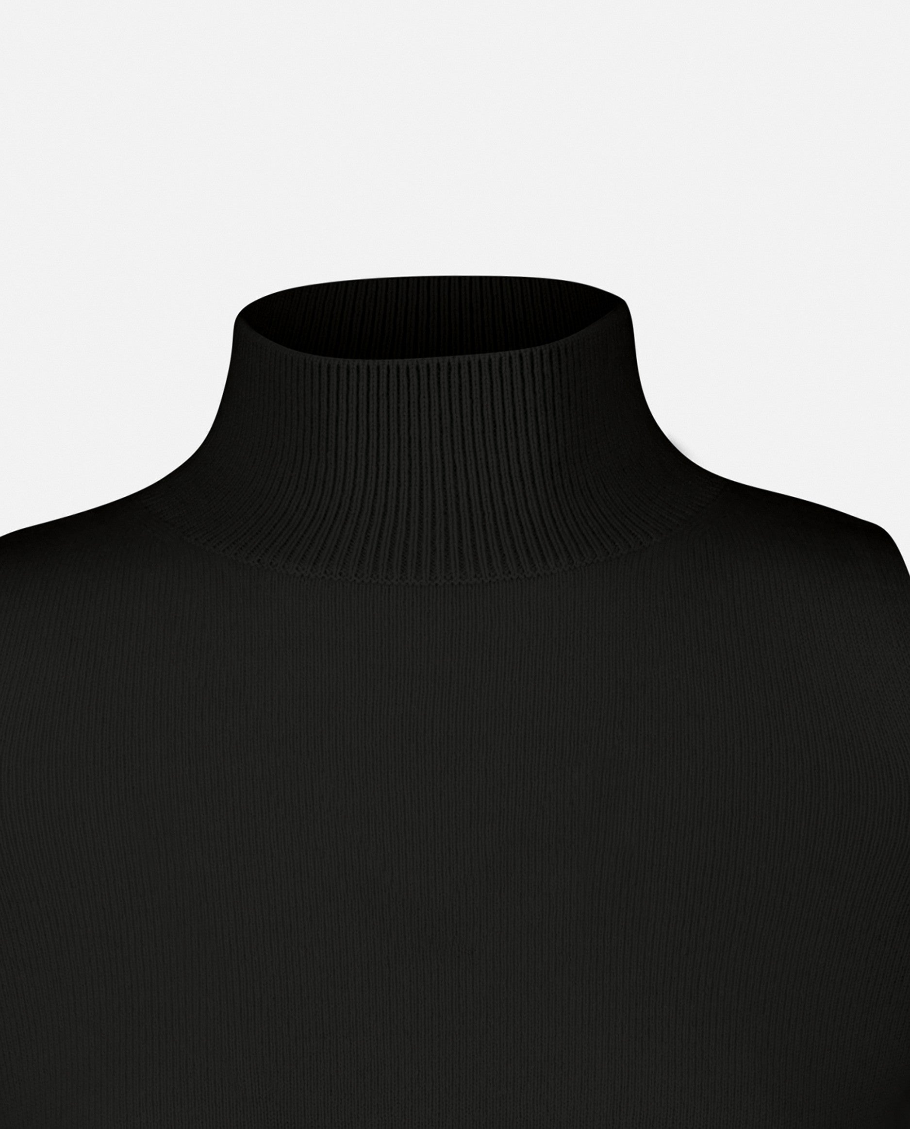 235-17750-90-S_5 - Allude - 30% Cashmere 70% Wolle Damen Enger Schnitt Feinstrick Langarm Pullover SAPG::235-17750 Schwarz Stehkragen Winter 2023/2024 Wolle