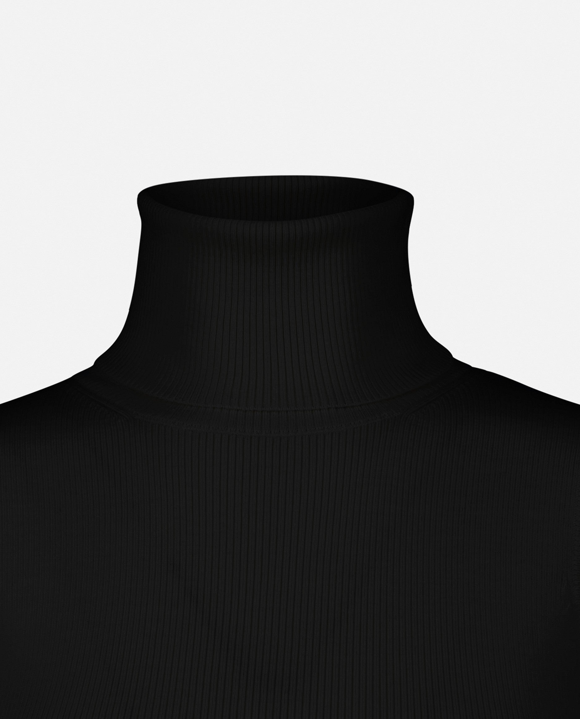 235-64001-490-S_5 - Allude - 100% Wolle Braun Damen Enger Schnitt Feinstrick Pullover Rollkragen SAPG::235-64001 Winter 2023/2024 Wolle