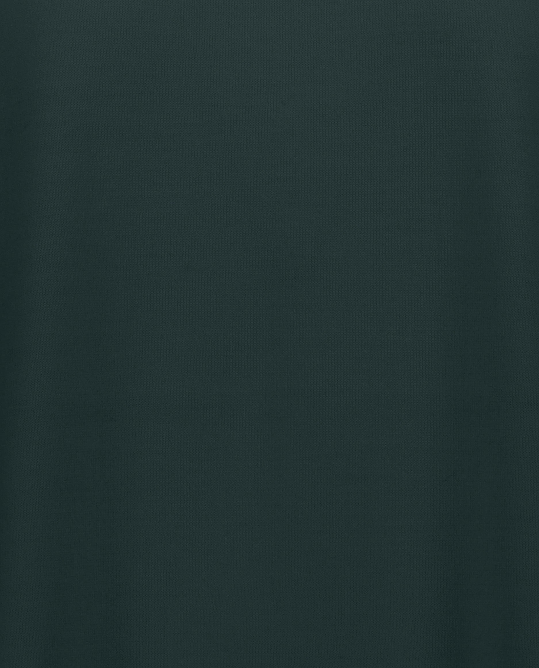 235-64013-435-S_4 - Allude - 100% Wolle Bootshalsausschnitt Damen Feinstrick Grün Langarm Lockerer Schnitt Pullover SAPG::235-64013 Winter 2023/2024 Wolle