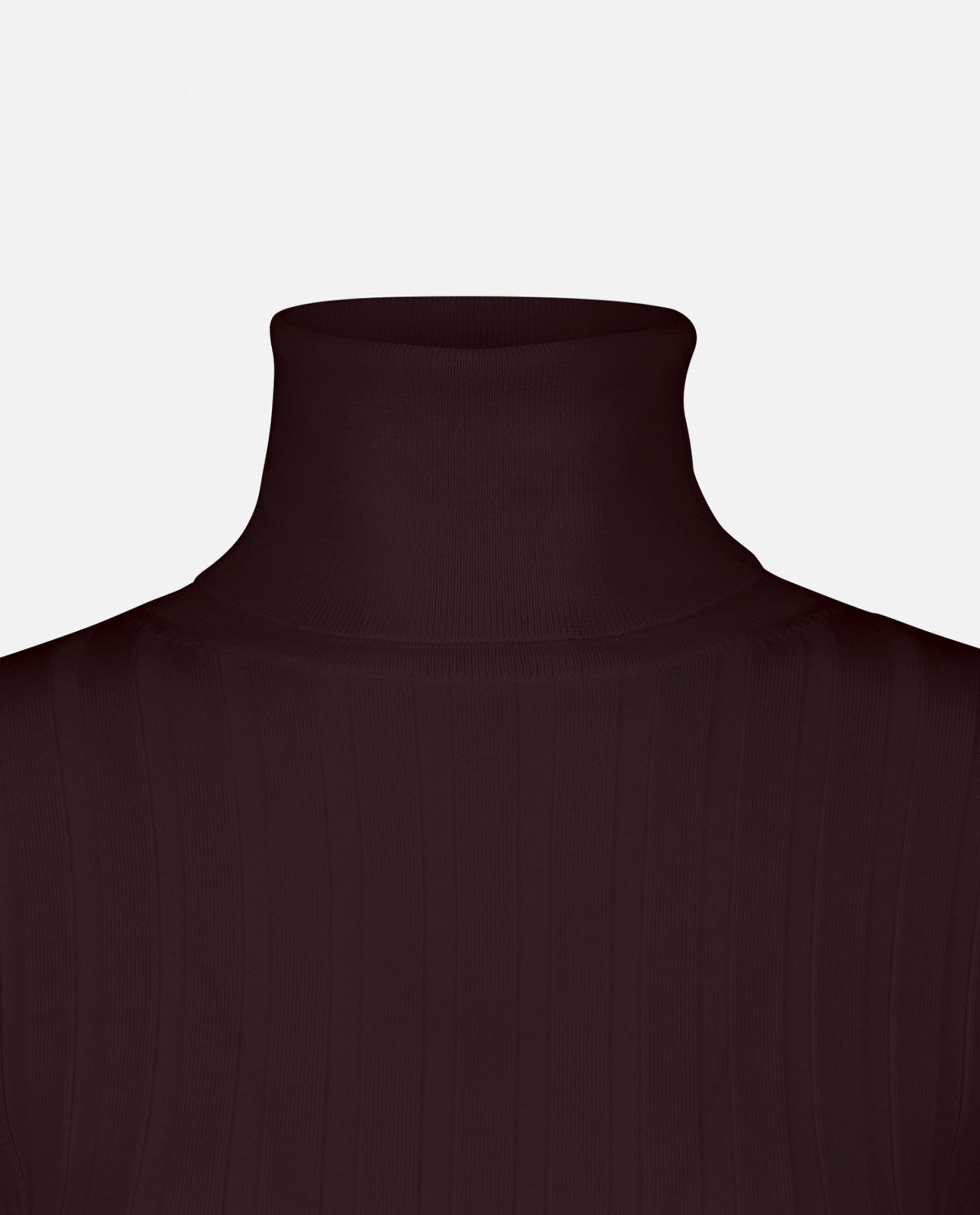 235-64022-468-S_5 - Allude - 100% Wolle Damen Enger Schnitt Feinstrick Langarm Pullover Rollkragen Rot SAPG::235-64022 Winter 2023/2024 Wolle