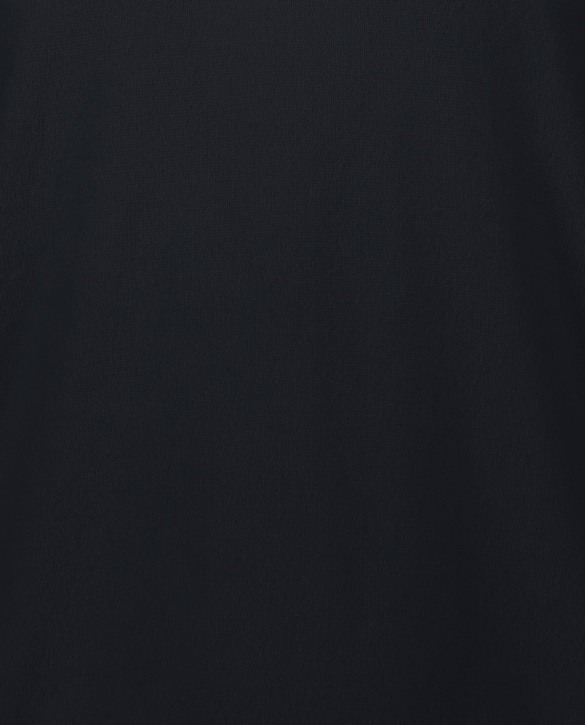 242-30020-14-3_cd5921bc-b7af-48e1-b2a7-7c660d1cc6c1 - Allude - 100% Cashmere Active Cashmere Feinstrick Flachstrick Herren Langarm Navy NOS Pullover SAPG::101-30020 V-Ausschnitt
