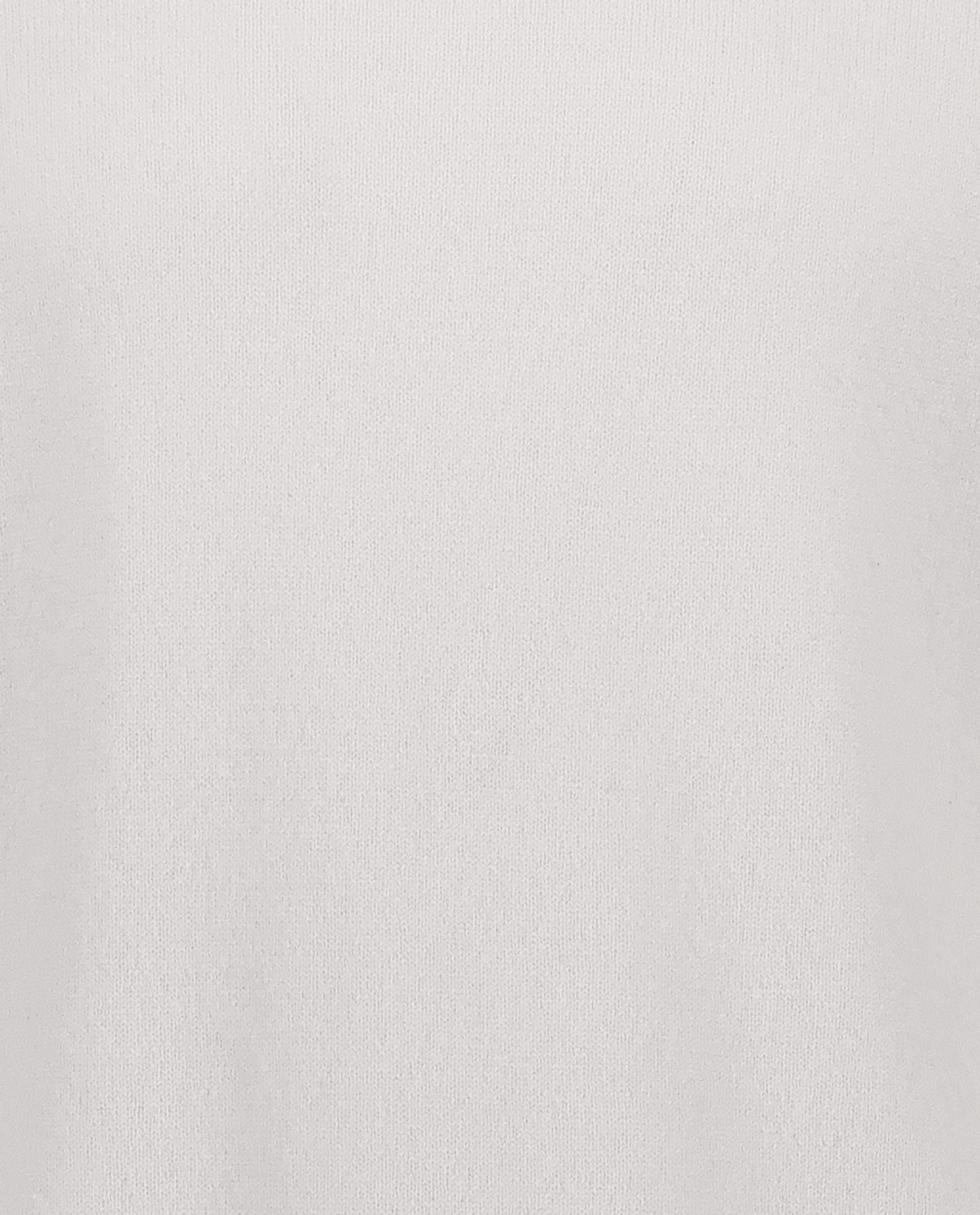 245-30012-80-S_hash_escaped_4 - Allude - 100% Cashmere Active Basic Cashmere Feinstrick Gerade Passform Grau Herren Langarm Pullover Rollkragen SAPG::245-30012 Winter 2024/2025