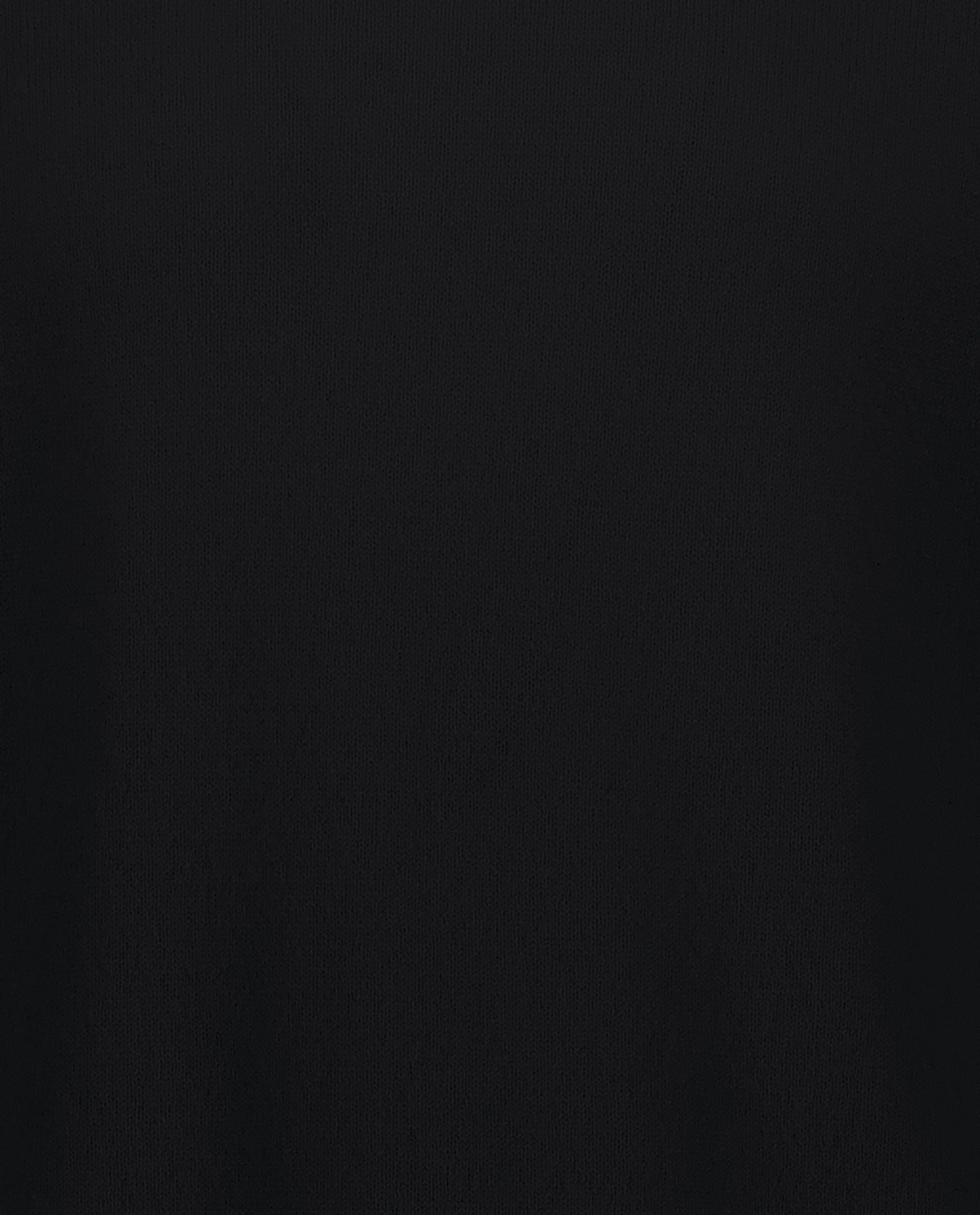 245-30012-90-S_hash_escaped_4 - Allude - 100% Cashmere Active Basic Cashmere Feinstrick Gerade Passform Herren Langarm Pullover Rollkragen SAPG::245-30012 Schwarz Winter 2024/2025
