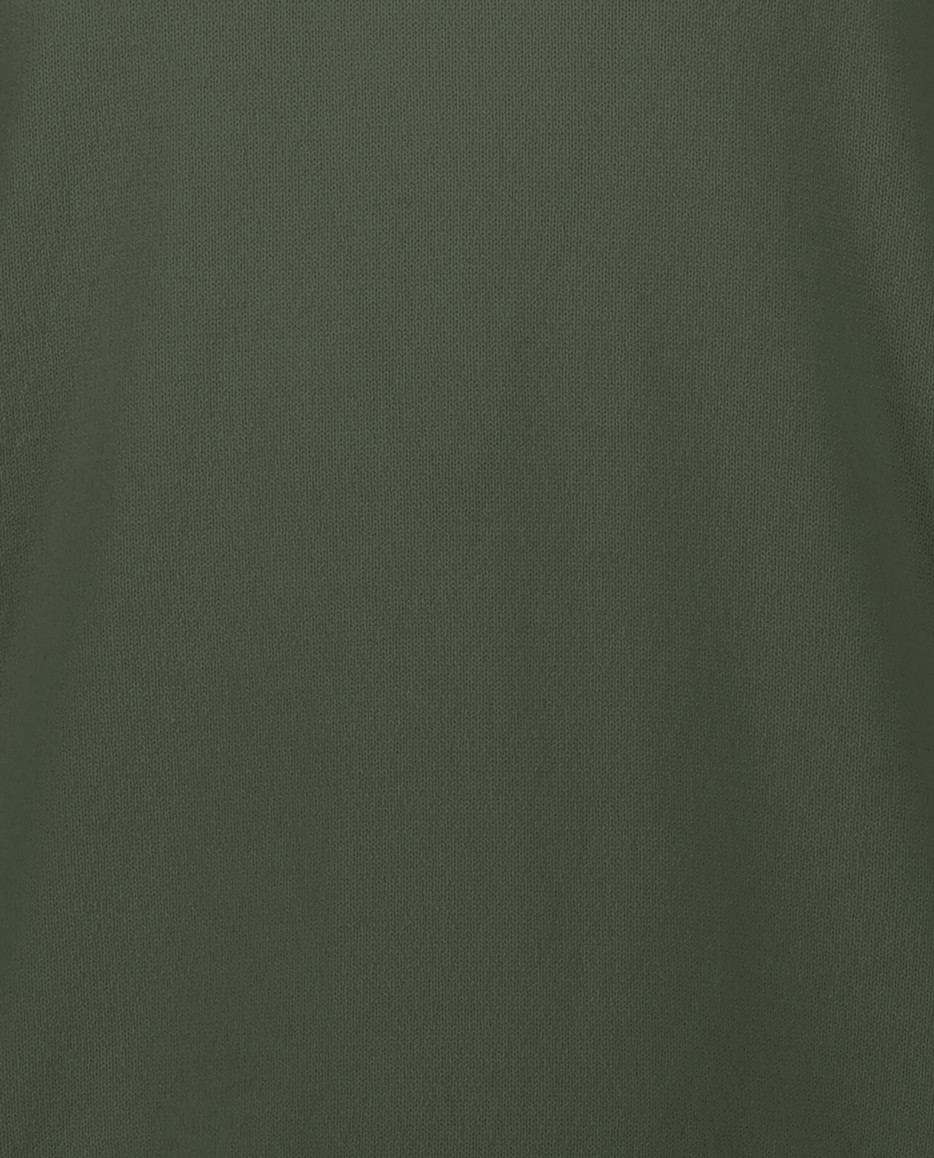 245-30020-34-4 - Allude - 100% Cashmere Active Cashmere Feinstrick Flachstrick Grün Herren Langarm NOS Pullover SAPG::101-30020 V-Ausschnitt