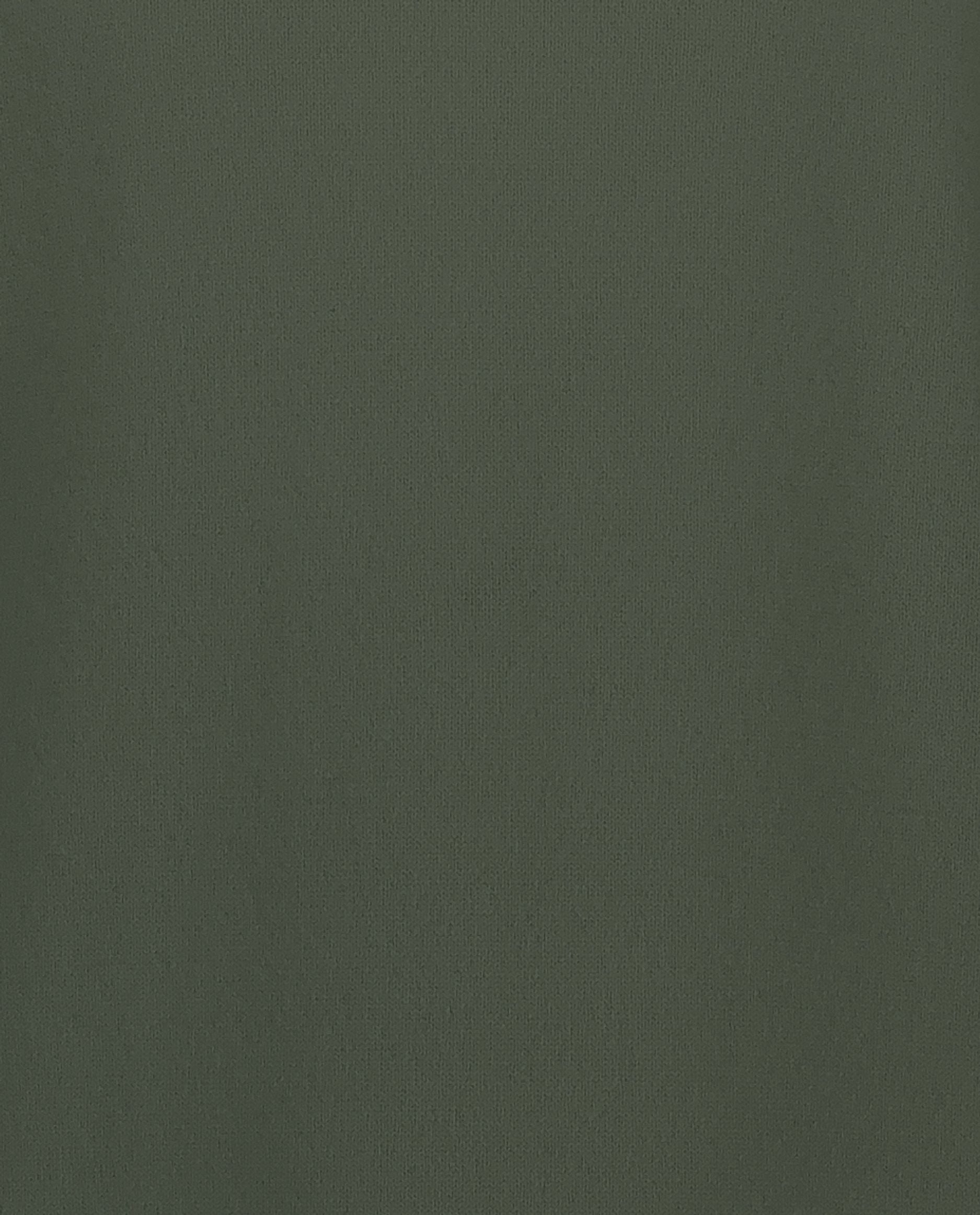 245-30021-34-4 - Allude - 100% Cashmere Active Cashmere Feinstrick Flachstrick Grün Herren Langarm NOS Pullover Rundhals SAPG::101-30021