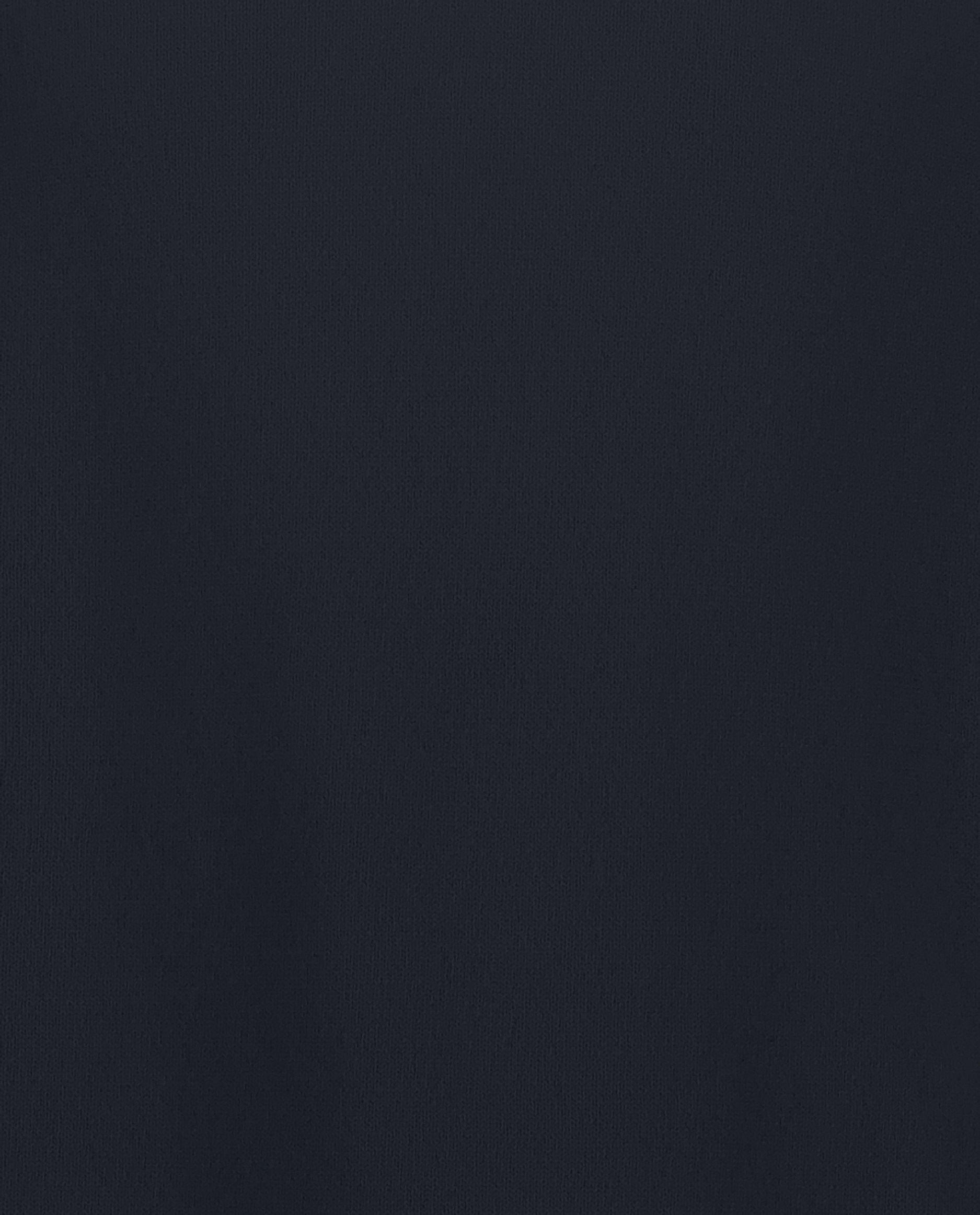 245-30023-14-4 - Allude - 100% Cashmere Active Cashmere Feinstrick Flachstrick Herren Langarm Navy NOS Polo Pullover SAPG::101-30023