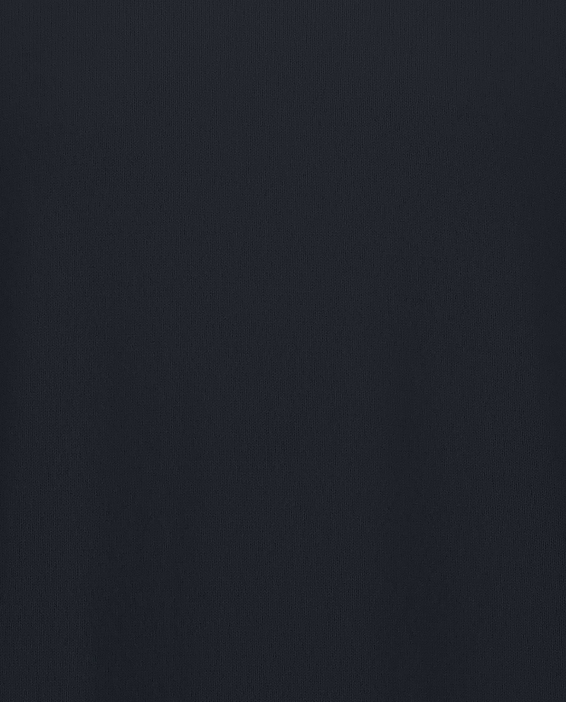 245-30024-14-4_71fc216b-0245-4864-99f9-573b1ff0e7b4 - Allude - 100% Cashmere Active Cashmere Feinstrick Flachstrick Herren Langarm Navy NOS Pullover Rollkragen SAPG::101-30024