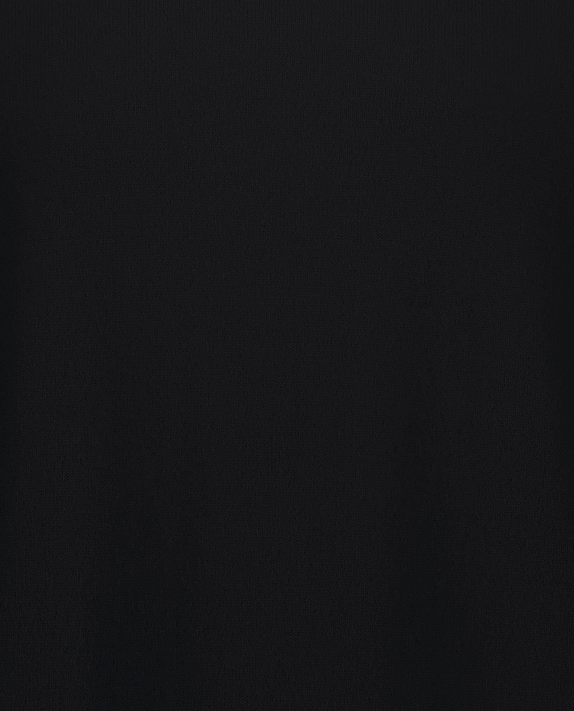 245-30024-90-4 - Allude - 100% Cashmere Active Cashmere Feinstrick Flachstrick Herren Langarm NOS Pullover Rollkragen SAPG::101-30024 Schwarz