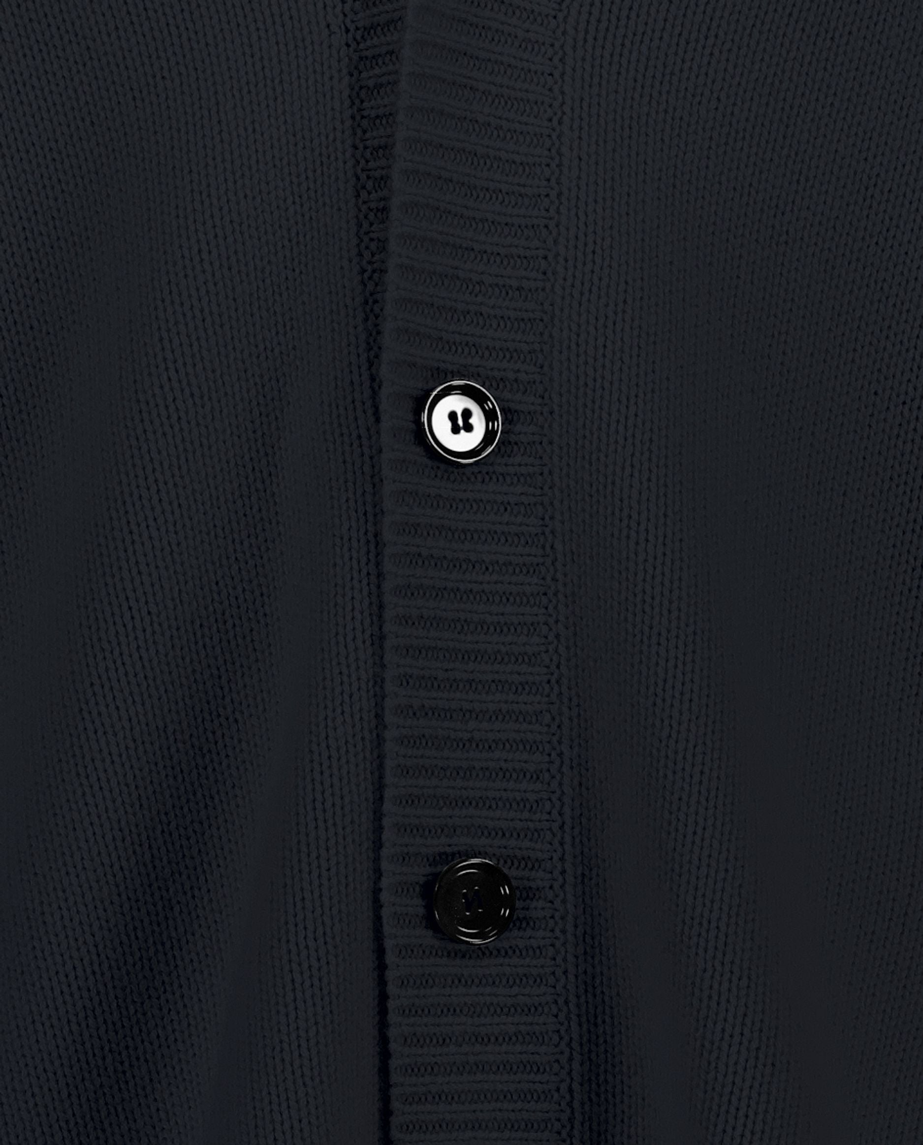 245-37000-14-S_hash_escaped_4 - Allude - 30% Cashmere 70% Wolle Active Grobstrick Herren Langarm Lockerer Schnitt Navy SAPG::245-37000 Strickjacke V-Ausschnitt Winter 2024/2025 Wolle