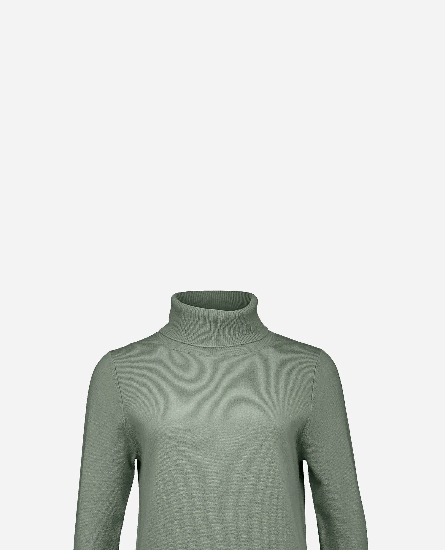 255-17013-31_40 - Allude - 30% Cashmere 70% Wolle Active Damen Fall/Winter 2025/2026 Feinstrick Flachstrick Gerade Passform Grün Kleid NEW Rollkragen SAPG::255-17013
