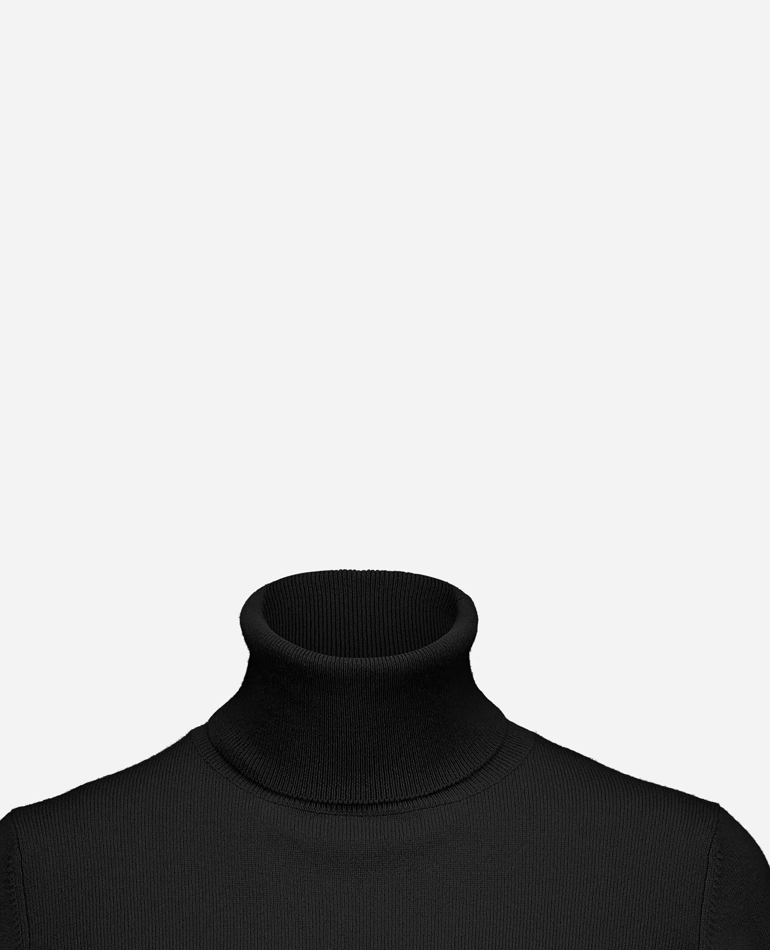 255-17122-90_40 - Allude - 30% Cashmere 70% Wolle Active Damen Fall/Winter 2025/2026 Feinstrick Flachstrick Gerade Passform NEW Pullover Rollkragen SAPG::255-17122 Schwarz