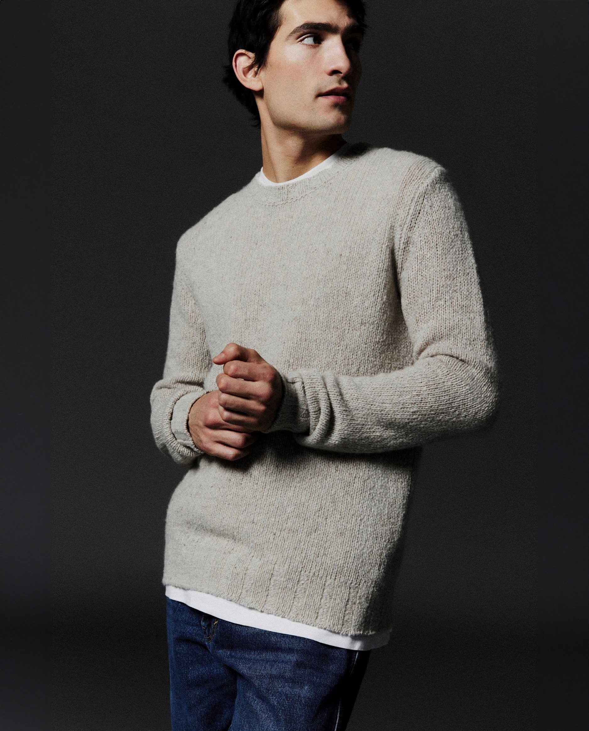 245-69000-0221 - Allude - 100% Cashmere Basic Beige Cashmere Gerade Passform Grobstrick Herren Langarm Pullover Rundhalsausschnitt SAPG::245-69000 Winter 2024/2025